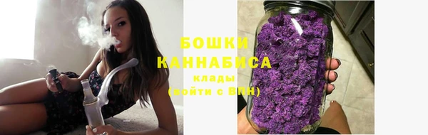 марки nbome Вяземский