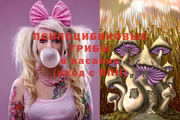 МДПВ Вязники
