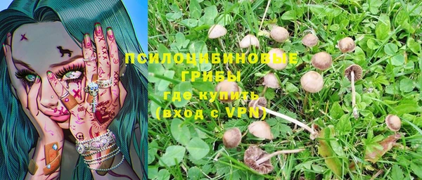 спиды Тихорецк