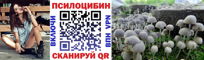 Галлюциногенные грибы MAGIC MUSHROOMS Михайлов